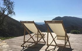 Encanto Di Arlia